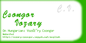 csongor vozary business card